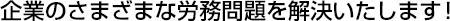 企業のさまざまな労務問題を解決いたします！